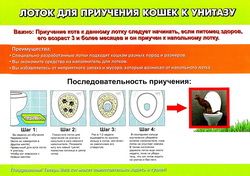 Лотки для кошек